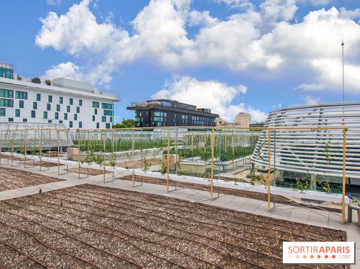 Le Perchoir ferme urbaine Porte de Versailles