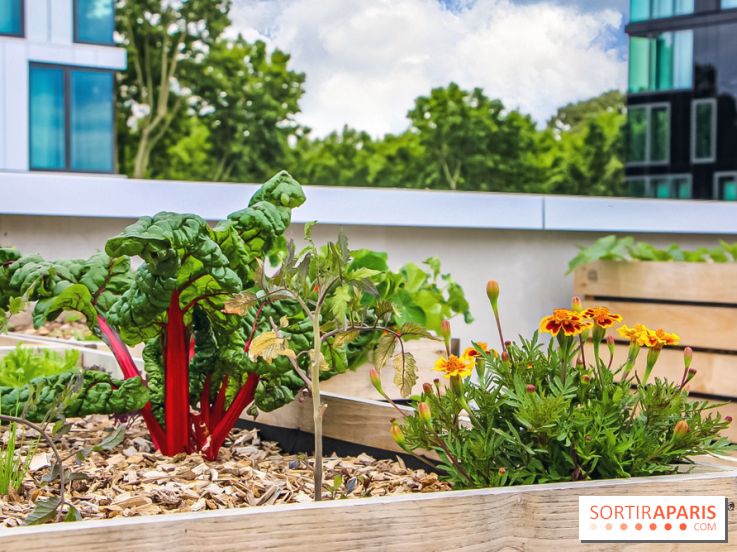 Le Perchoir ferme urbaine Porte de Versailles