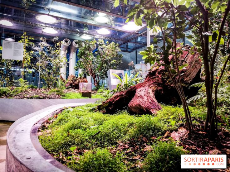 Bio-inspirée, la nouvelle expo permanente à la Cité des Sciences et de l'Industrie