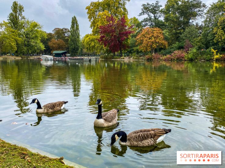 Visuel Paris, Lac Daumesnil bois de Vincennes