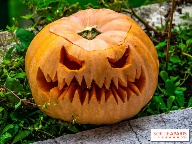 Halloween 2020 : comment creuser sa citrouille ? Le tuto