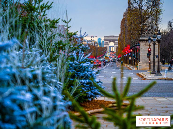 Photos : Illuminations et sapins de Noël Place de la Concorde