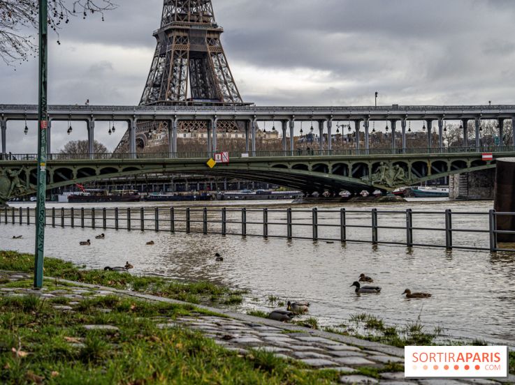 La Seine en crue février 2021