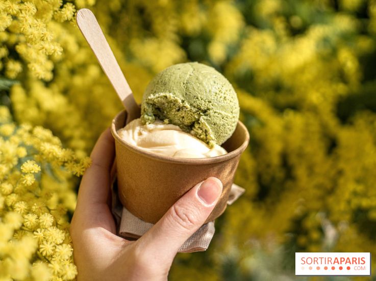 Photos : Wonderland Pâtisserie 