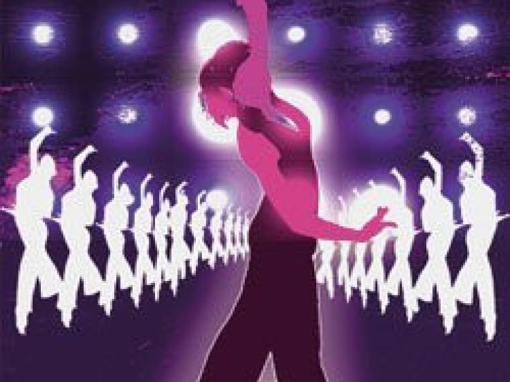 Féérie sur glace
Zorro