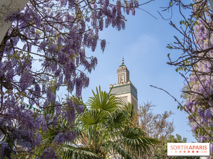 La Mosquée de Paris et son jardin en fleurs