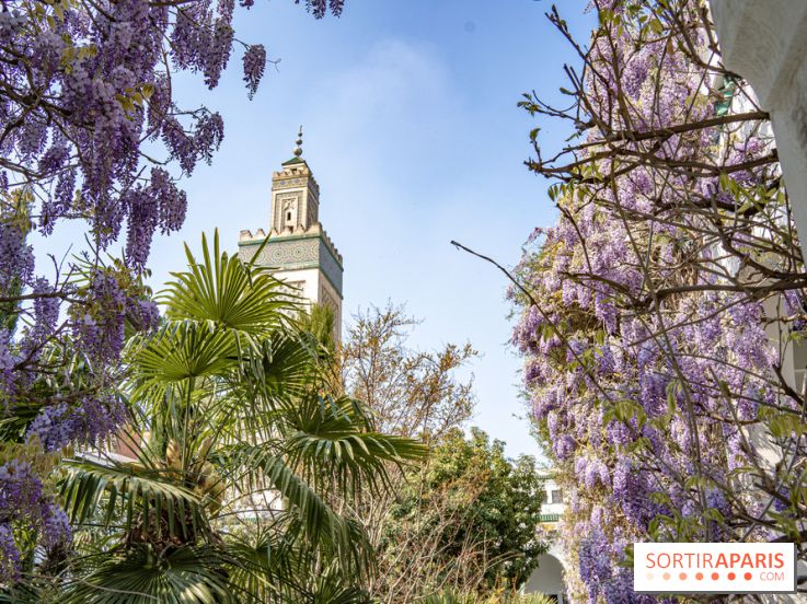 La Mosquée de Paris et son jardin en fleurs