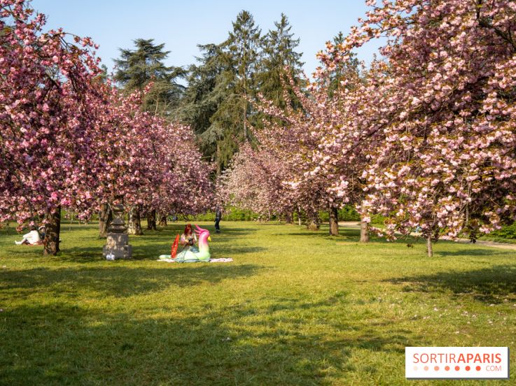 Le Parc de Sceaux et ses cerisiers en fleurs