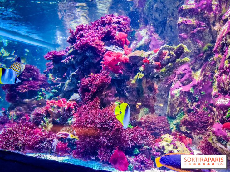 L'Aquarium Tropical de la Porte Dorée