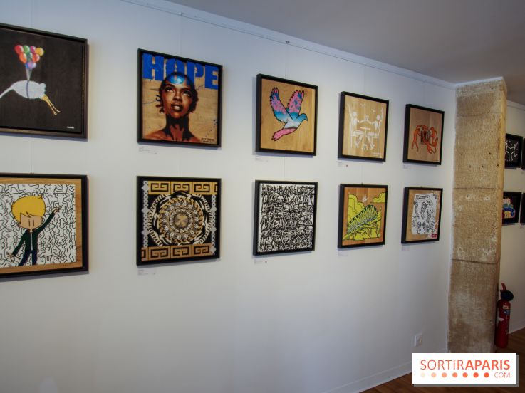 Street vs Wild, nos photos