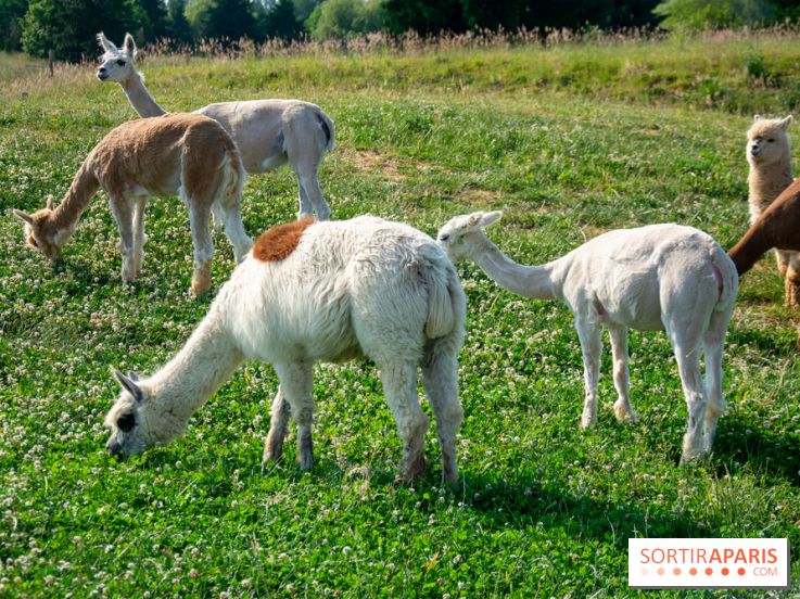 Parrot World, le parc animalier immersif d'Île-de-France