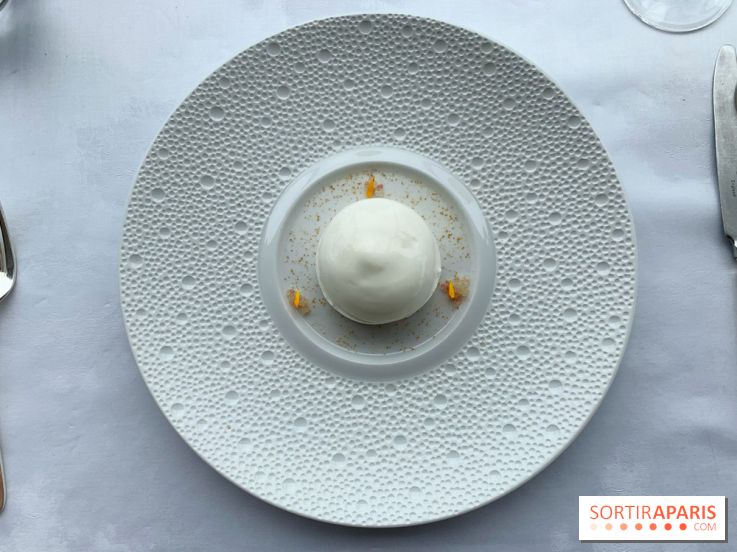 Oiseau Blanc Peninsula