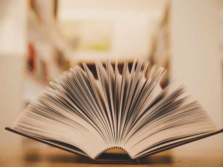 Le Salon du Livre Jeunesse Afro-Caribéen : dédicaces et spectacles en famille à Clichy (92)