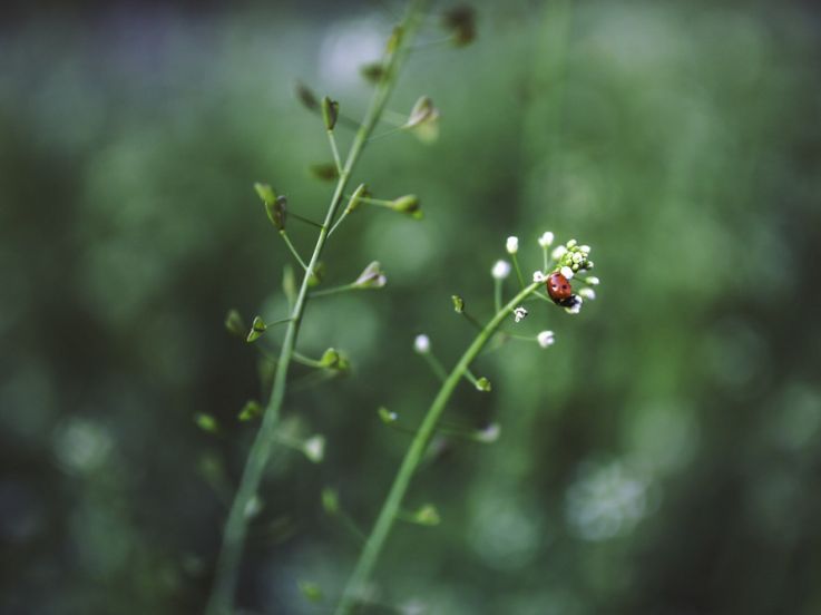 Naturally 2025 : le salon bio qui célèbre la nature à la Porte de Versailles 