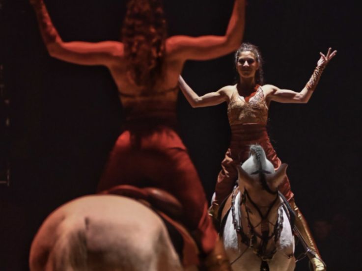 Festival International du Cirque du Val d'Oise (95)