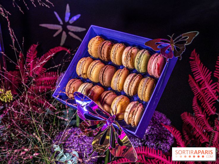Bûches de Noël de Pierre Hermé 2021 et galettes 2022