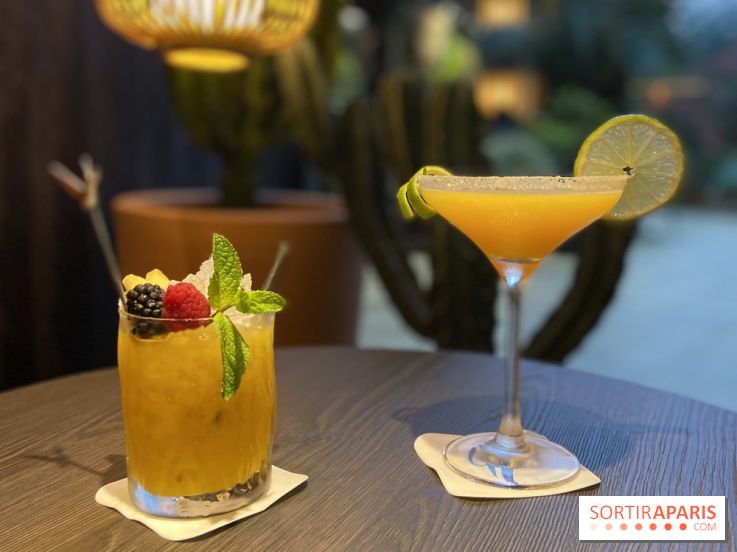 Oceania et sa terrasse en mode jardin méditerranéen à Paris