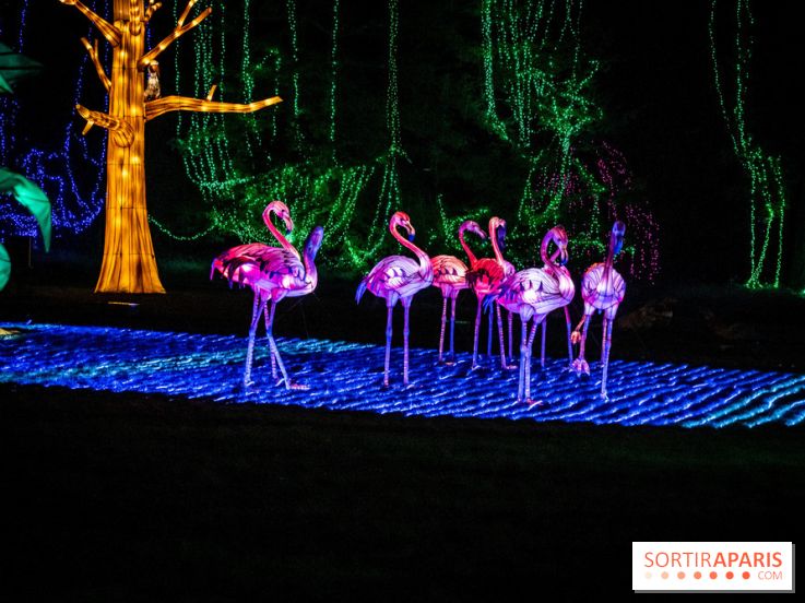 Thoiry Lumières Sauvages 2021-2022