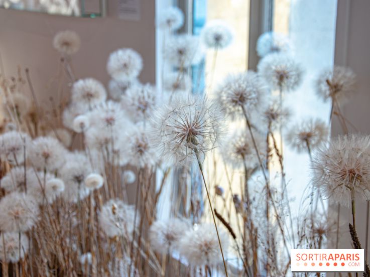 Le Musée Guimet propose une Carte blanche à Duy Anh Nhan Duc