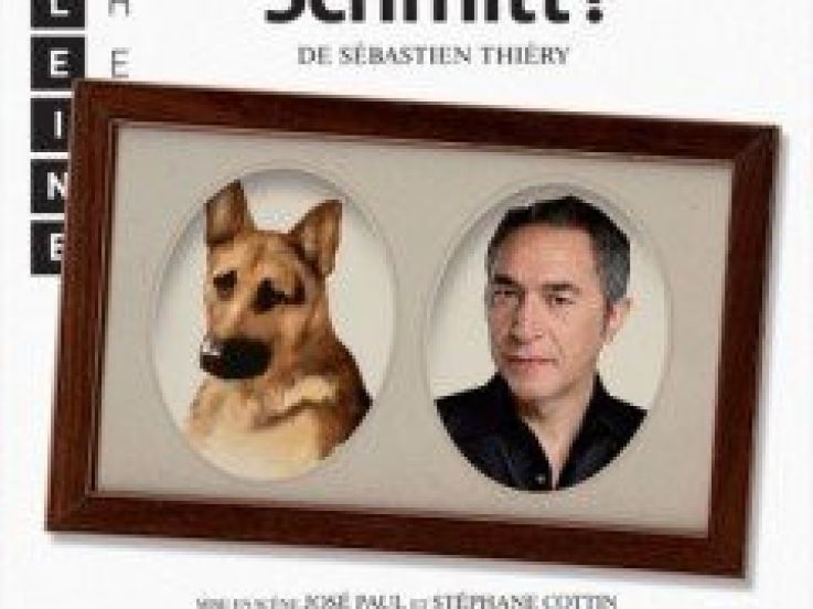 Qui est Monsieur Schmitt, Richard Berry, Théâtre, Madeleine, Paris, Spectacle