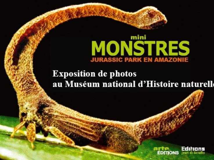 Mini Monstres, Jurassik Park, Amazonie, Exposition, Paris, Museum National d'Histoire Naturelle