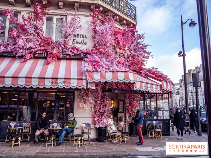 Les cafés fleuris de Paris
