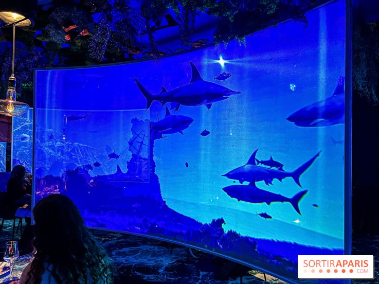 Ephemera, le premier restaurant immersif à Paris