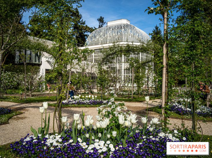 Les jardins du Musée Albert Kahn, nos photos 