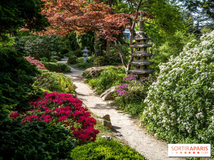 Les jardins du Musée Albert Kahn, nos photos 