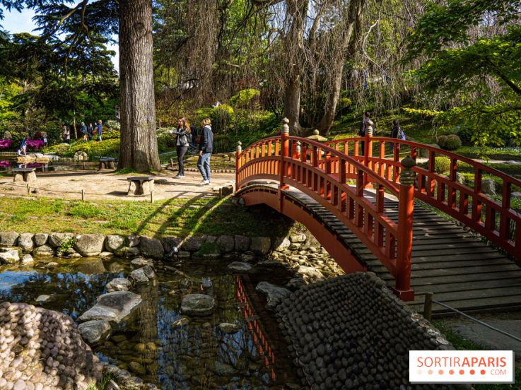 Les jardins du Musée Albert Kahn, nos photos 