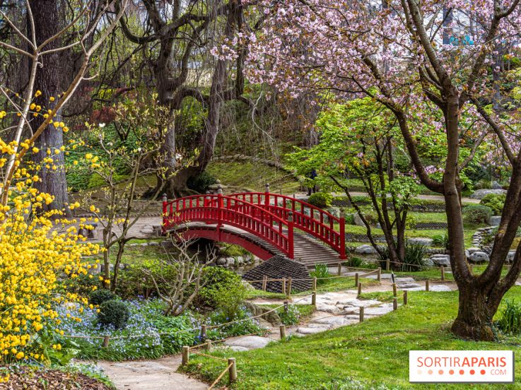 Les jardins du Musée Albert Kahn, nos photos