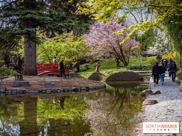 Les jardins du Musée Albert Kahn, nos photos