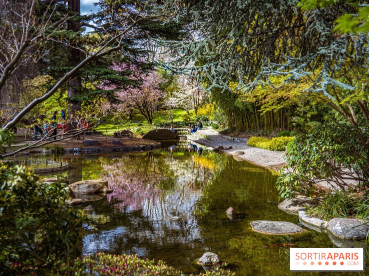 Les jardins du Musée Albert Kahn, nos photos