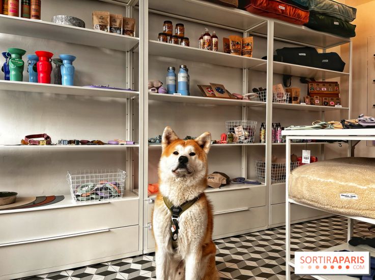 Barkers+Brothers, le concept store canin pour chouchouter son chien à Montmartre