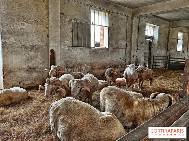 Le Château de Rambouillet et sa Bergerie nationale, un domaine d'exception en Ile-de-France
