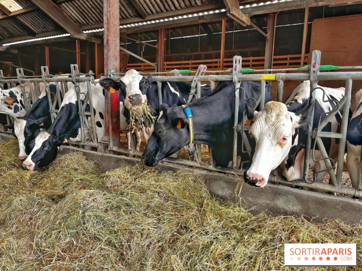 Le Château de Rambouillet et sa Bergerie nationale, un domaine d'exception en Ile-de-France