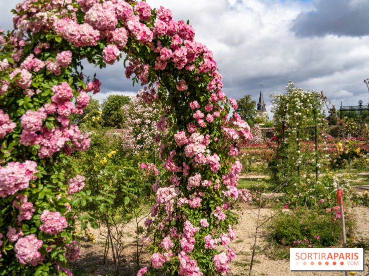 Photos : La Roseraie du val-de-Marne