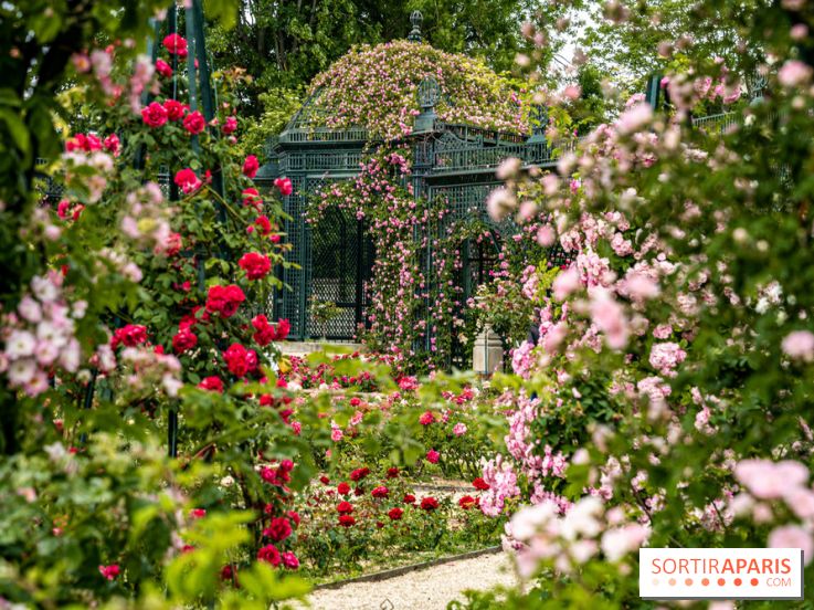Photos : La Roseraie du val-de-Marne
