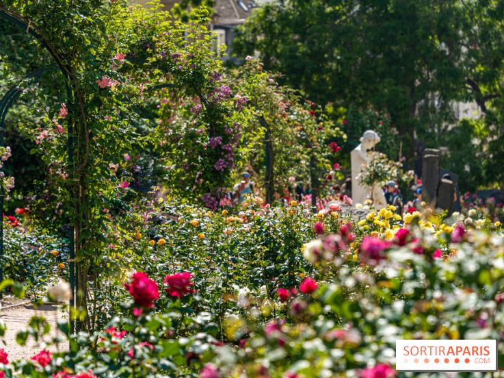 Photos La roseraie du Jardin des Plantes 