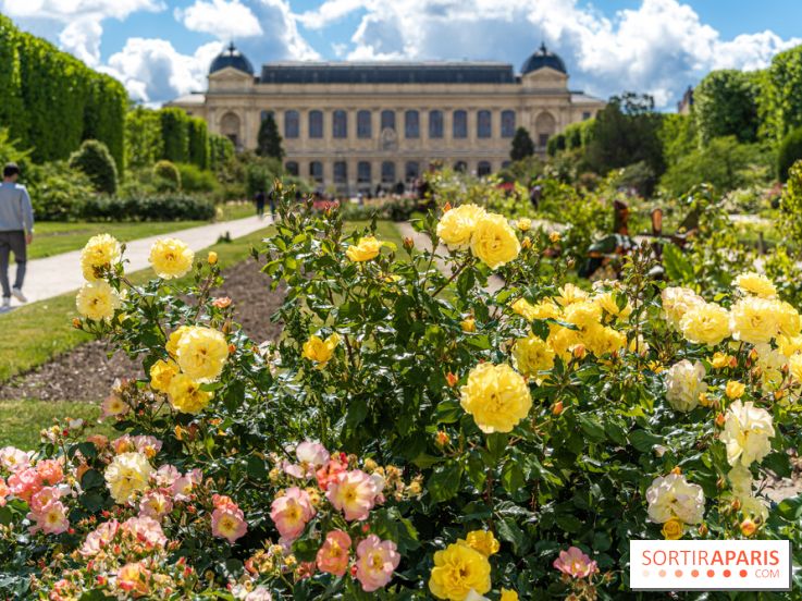 Photos La roseraie du Jardin des Plantes 