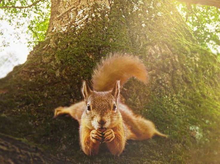 Festival des films pour l'environnement 2023 : la 5ème édition à Chatou (78)