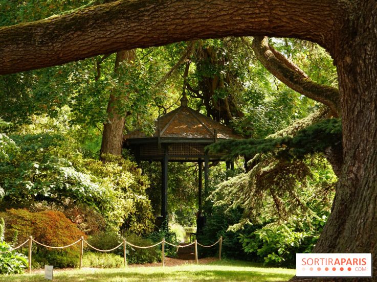 Arboretum de la Vallée-aux-Loups, une balade au milieu des arbres remarquables