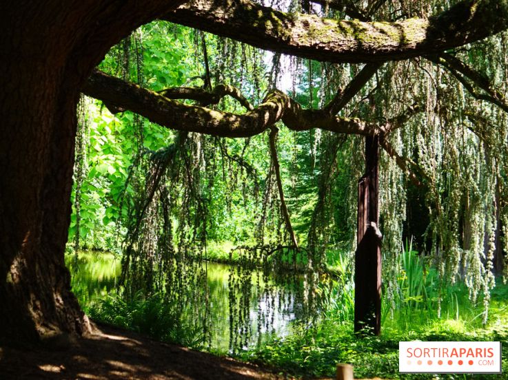 Arboretum de la Vallée-aux-Loups, une balade au milieu des arbres remarquables