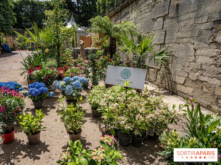 Jardins jardin aux Tuileries 2022