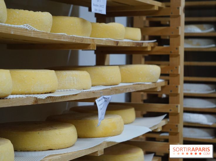 La fromagerie Ganot à Jouarre