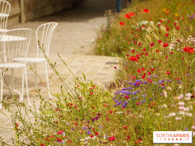 l'Île des Impressionnistes à Chatou