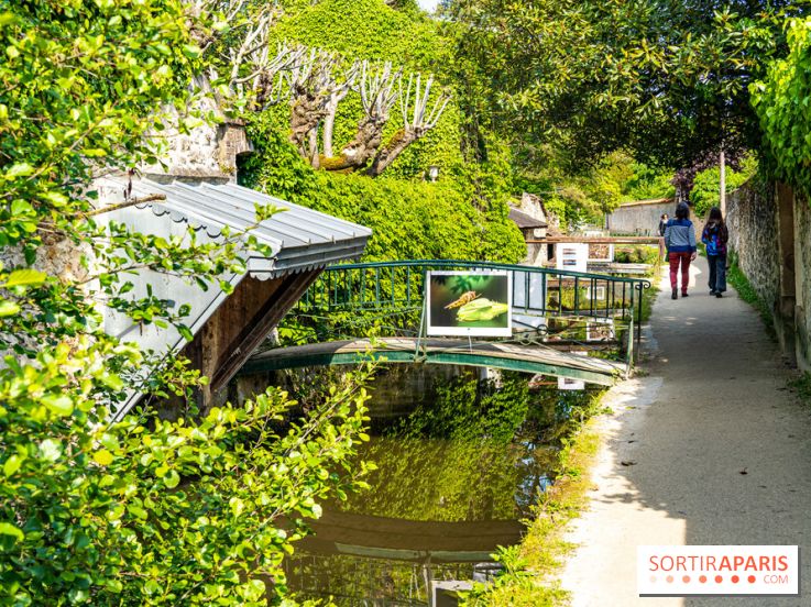 La promenade des petits ponts dans la vallée de Chevreuse -  A7C3889