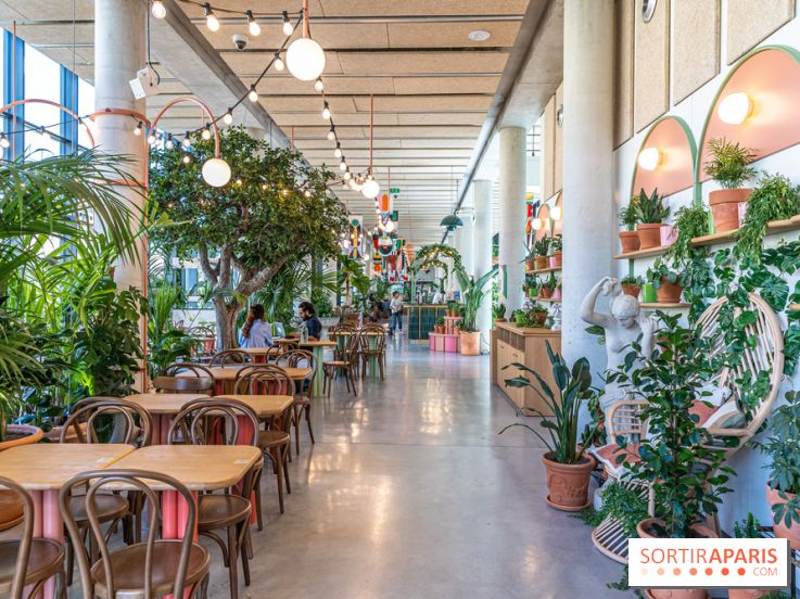 Titi Palacio, bar-restaurant festif à la Félicité 