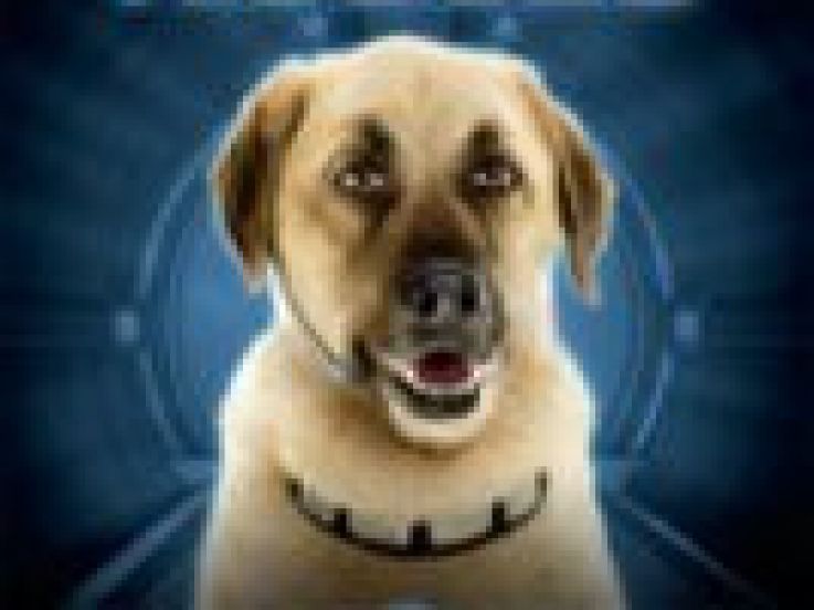 Comme chiens et chats la revanche de Kitty Galore