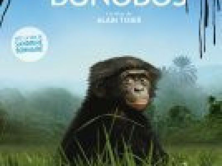 Bonobos